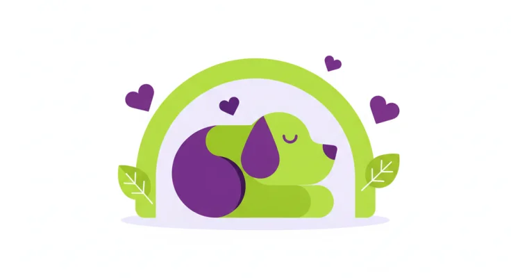 Enriquecimiento ambiental en residencias caninas: ideas prácticas